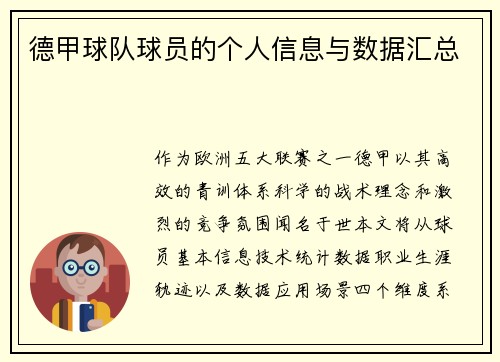 德甲球队球员的个人信息与数据汇总